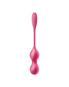 Satisfyer Love Birds 2 Connect App