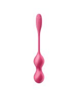 Satisfyer Love Birds 2 Connect App